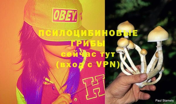 spice Балахна