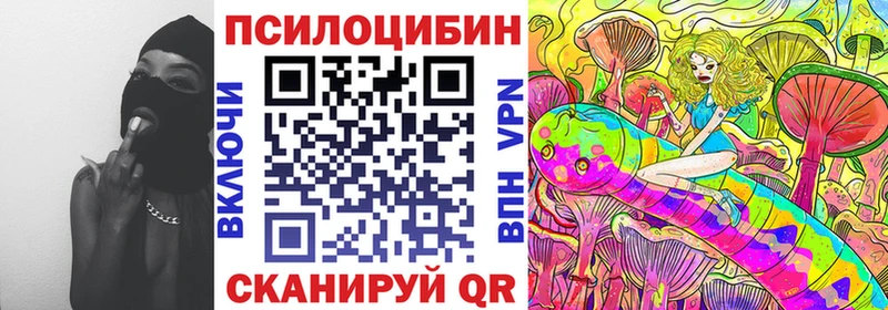 Псилоцибиновые грибы Cubensis kraken онион Питкяранта